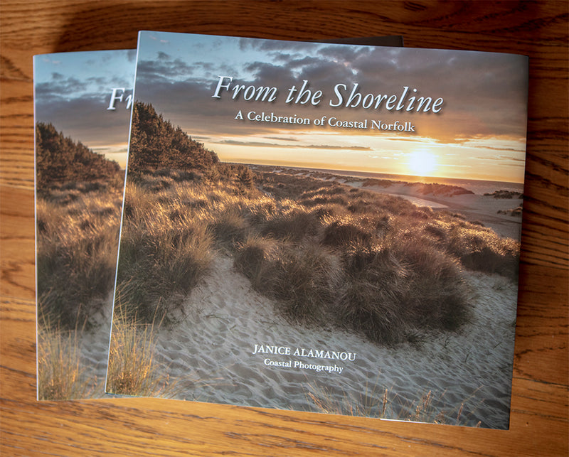 From the Shoreline - NEW Book by Janice Alamanou - in the Gallery