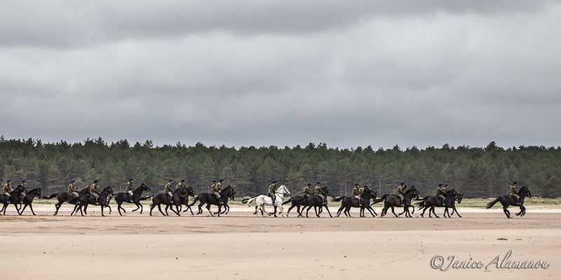 Household Cavalry at Holkham & New Releases