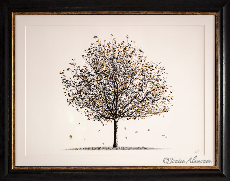 Gold Leaf - Photography with precious metals