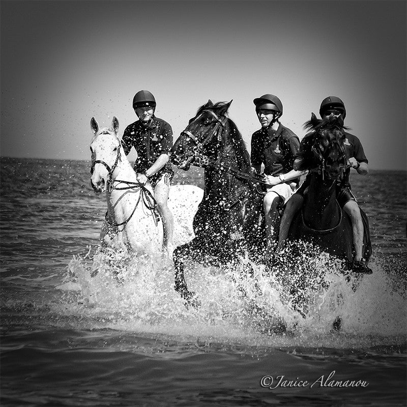 LH070915bw Horses in the Surf