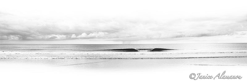 L209515pan The Perfect Wave