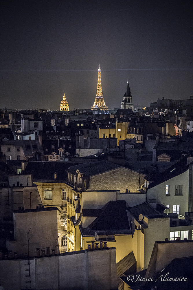 Paris from the Rooftops 1