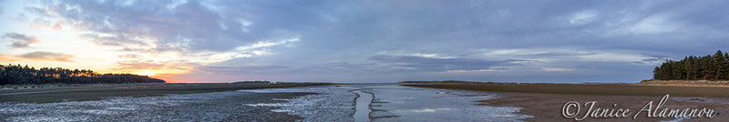 L240317pan As the Tide Runs Out