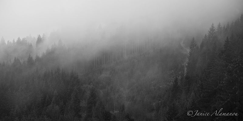L388814 Mountain Mists