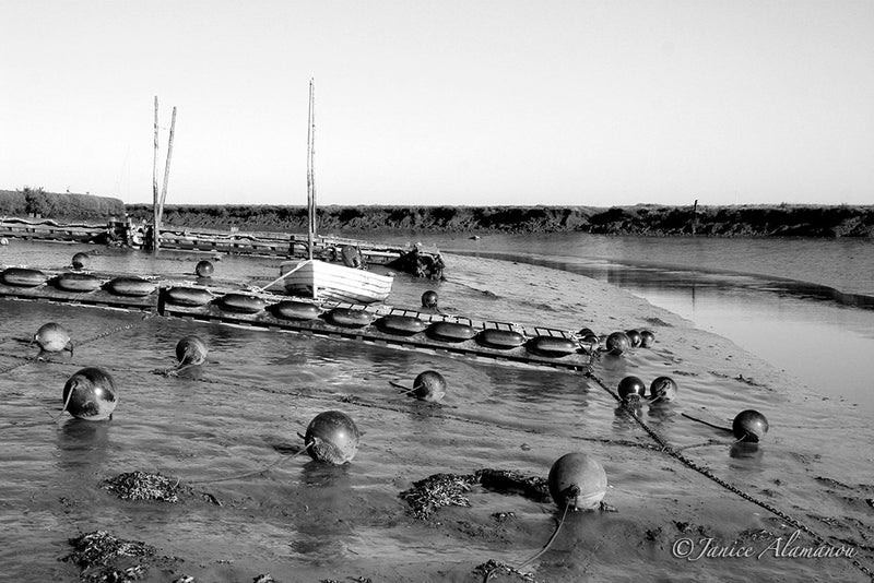 LB91bw Waiting for the Tide