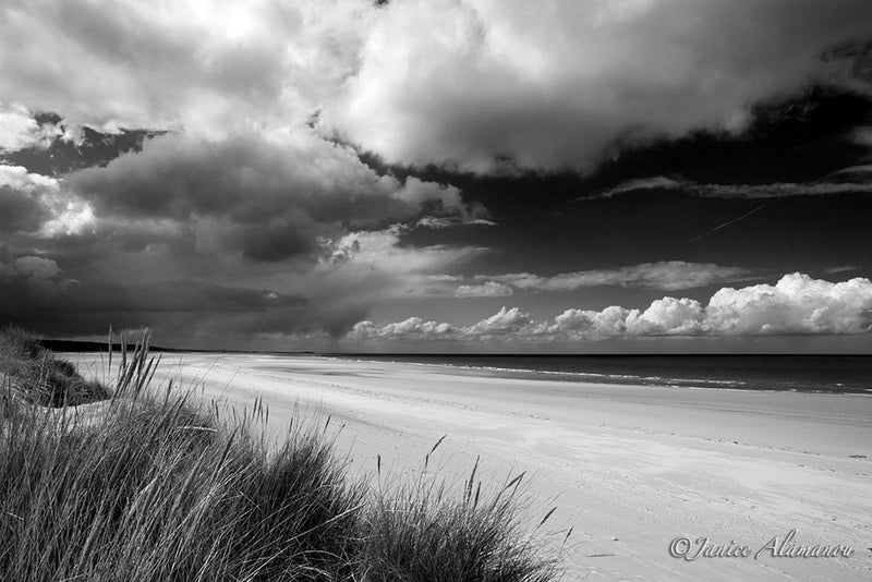 LBc002112bw Big Sky Beach