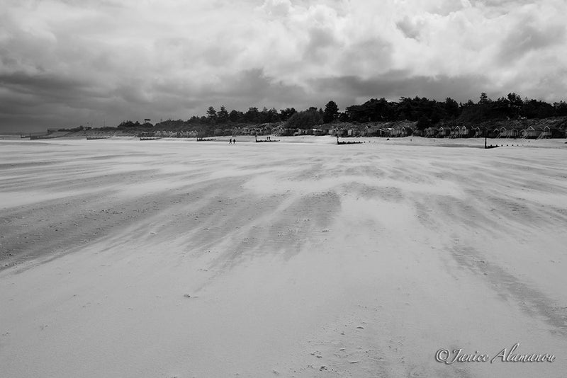 LBc034912bw Windswept Sand