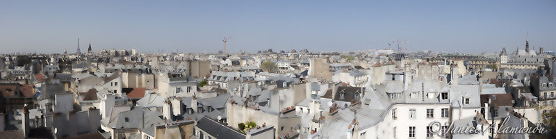 Paris from the Rooftops 4