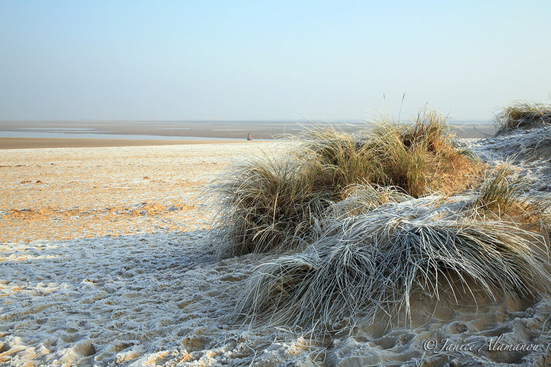 LSn38 Frosty Dune. Wells-next-the-Sea