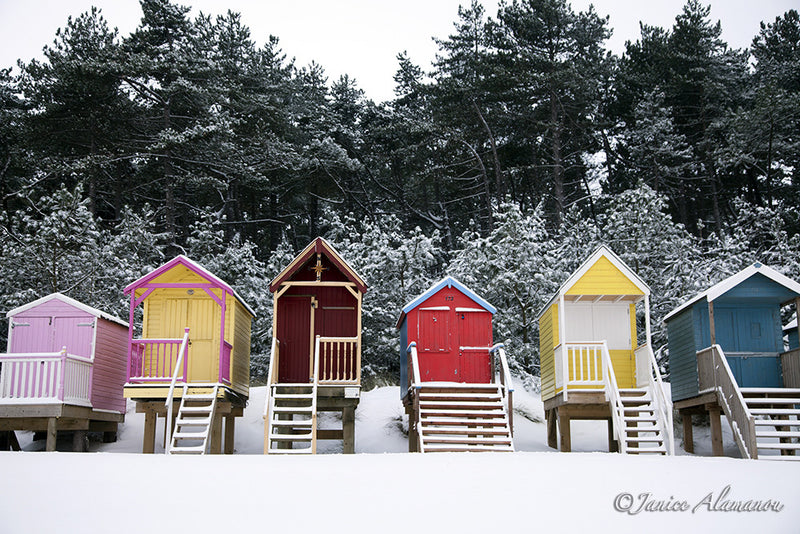 LSn773212 Bright Winter Huts