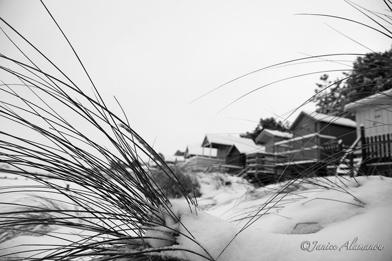 LSn780112bw Marram to Snow covered Beach Huts