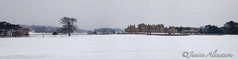 PN787512pan Snow in Holkham Grounds